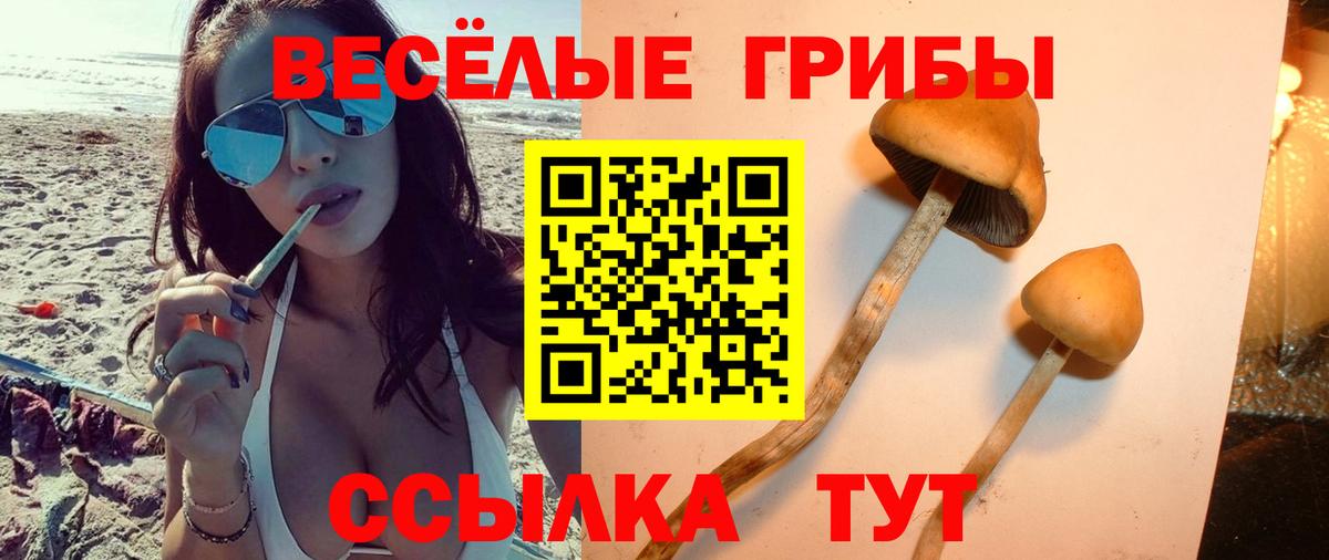 Конопля Энгельс