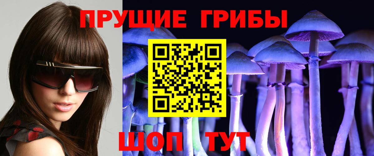 Галлюциногенные грибы Psilocybine cubensis Энгельс